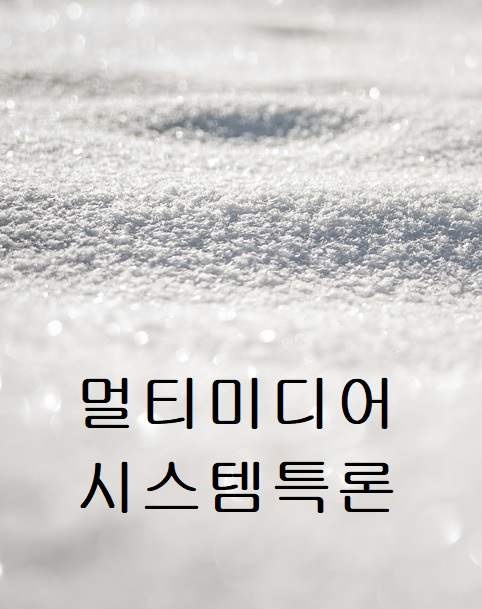 멀티미디어 시스템 특론